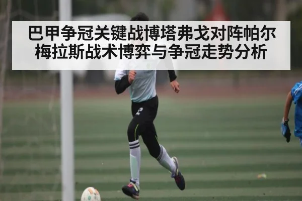 巴甲争冠关键战博塔弗戈对阵帕尔梅拉斯战术博弈与争冠走势分析